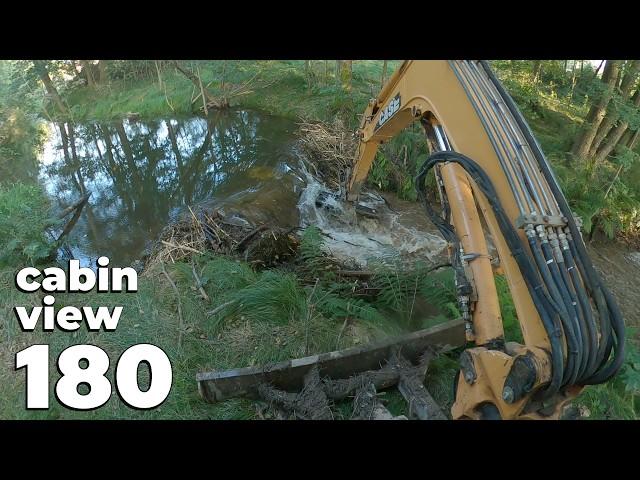 A Beaver Dam In The Forest - Beaver Dam Removal With Excavator No.180 - Cabin View