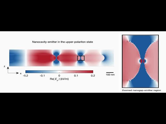 ‘Immortalization’ of Quantum States by Quantum Nanoplasmonic Coherent Perfect Absorption