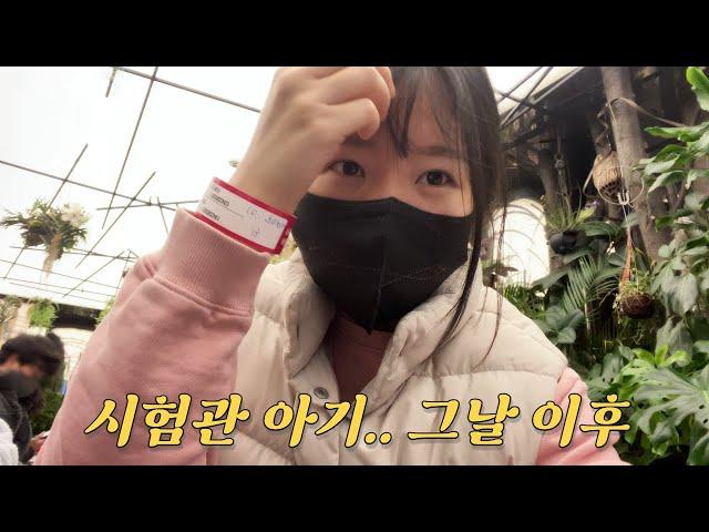 시험관 시술 정말 괜찮을까? 최초의 시험관 아기 스토리와 임신 안정기에 드는 생각들