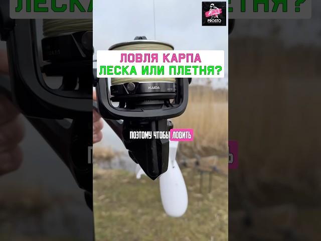 Как ловить много карпа? Леска или плетня на спод? #карпфишинг