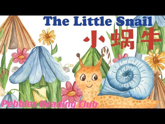 小石头读书吧：小蜗牛｜Pebbles Reading Club:The Little Snail儿童中文故事有声绘本 睡前故事  晚安故事Children Stories  in Mandarin