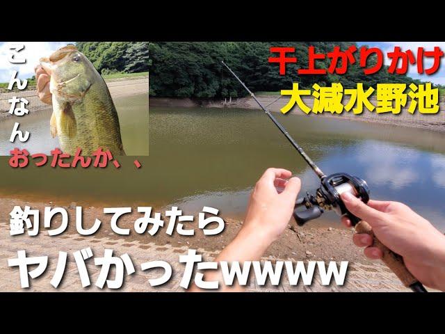 【Vlog】干上がる寸前！？大減水野池で釣りしたらヤバかった【バス釣り】【エスケープツイン】【福岡バス釣り】【減水野池】【ブラックバス】