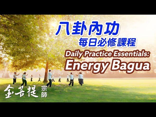 Energy Bagua Daily Practice Lessons