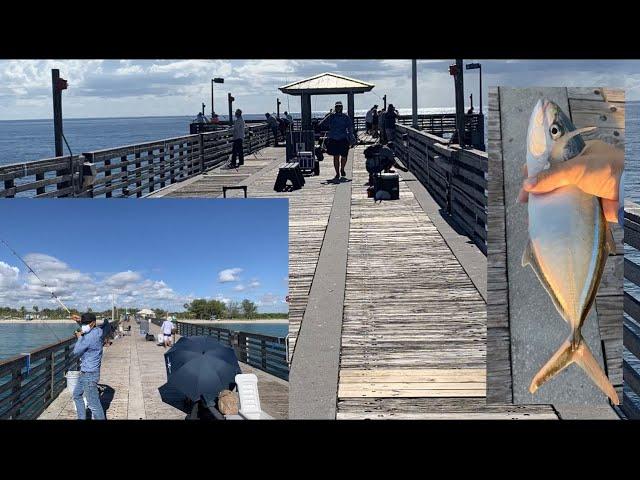 The Best Pier Fishing in South Florida  (Mangrove Snapper, Dania Beach Pier,  Fort Lauderdale area)