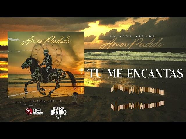 Tu Me Encantas - (Visualizer) - Eslabon Armado - DEL Records 2024