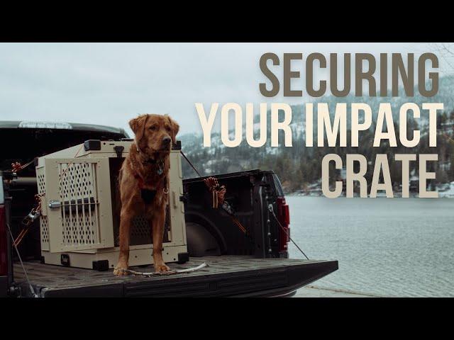 How To Secure Your Impact Dog Crate In A Truck Bed