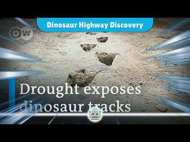 Unveiling the Dinosaur Highway: A 166 Million-Year-Old Discovery in England