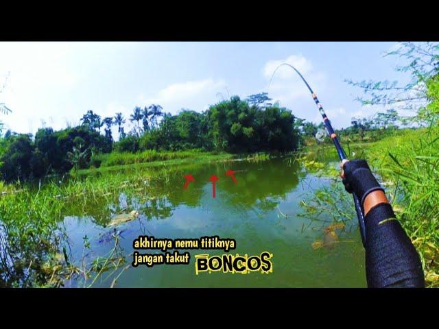 OPTIMIS DAN YAKIN‼️kunci utama kita menentukan titik spot//mancing nila di waduk Karangkates