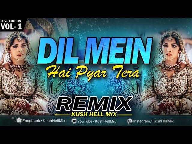 Dil mein hai pyar tera Hoton pe | Remix | Kush Hell Mix | Udit Narayan | Alka Yagnik | Sunny Deol