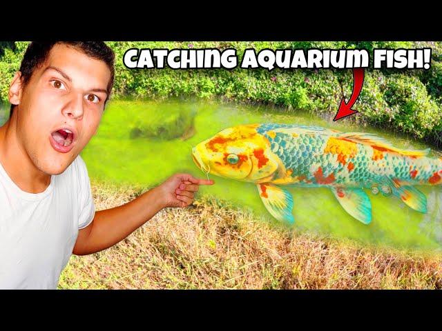 I Found AQUARIUM FISH In ABANDONED Fish FARM Creek!