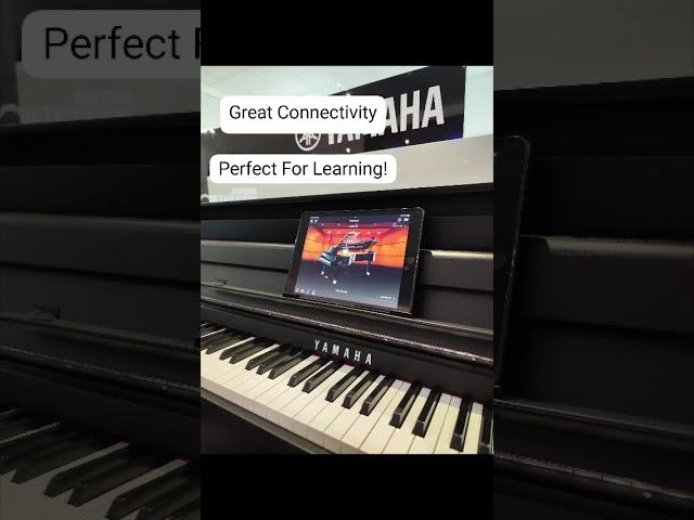 Yamaha CLP-885 - The Finest Clavinova Yet | Rimmers Music, The Piano People