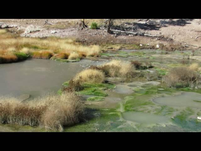 Mud Volcano area in Yellowstone