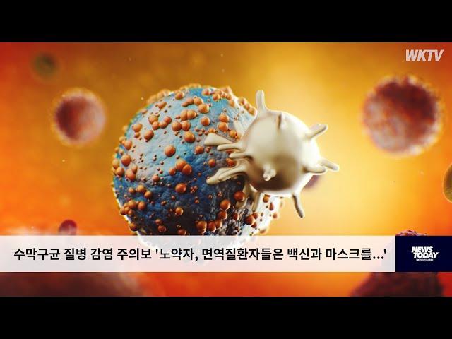 수막구균 질병 감염 주의보 '노약자, 면역질환자들은 백신과 마스크를   '