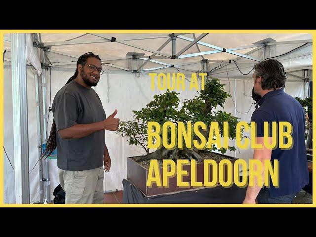 Bonsai vereniging Apeldoorn
