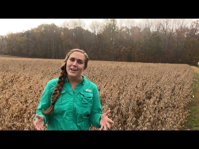 NC State Extension's Soybean On Farm Trial Program