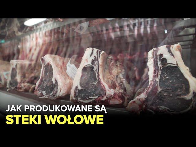 Jak produkowane są steki wołowe? - Fabryki w Polsce