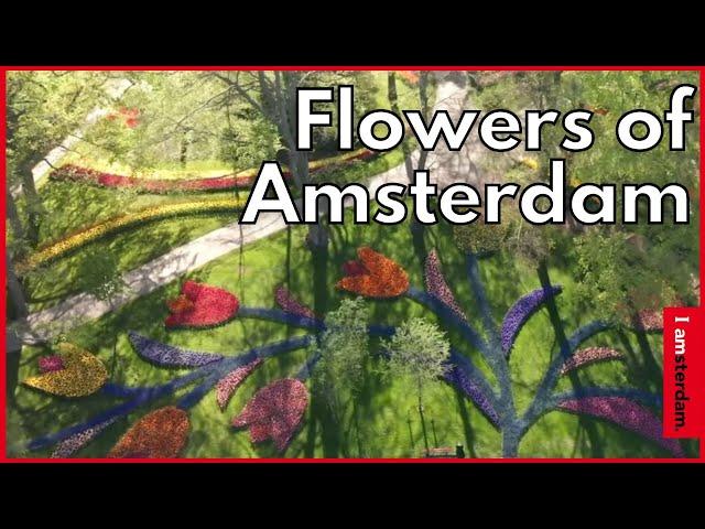 Discover the Flowers of Amsterdam | I amsterdam