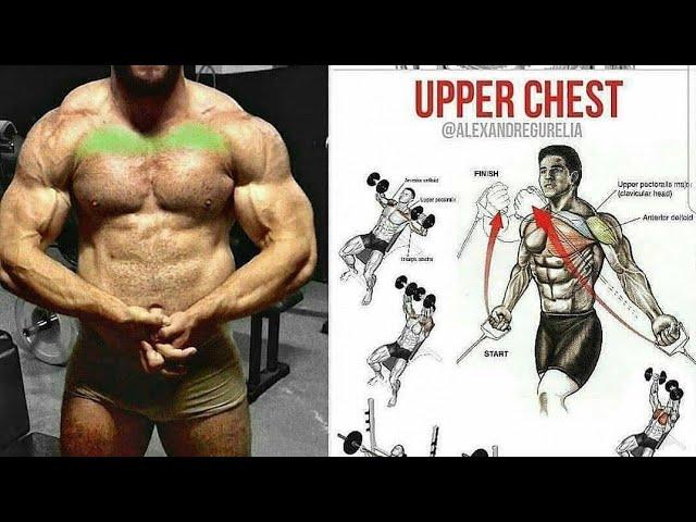 4 chest exercises #muscle hub gym