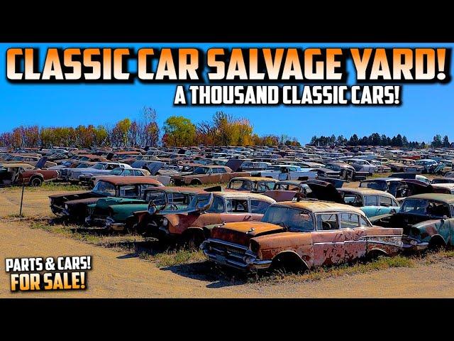 HUGE CLASSIC CAR JUNK YARD!!! A THOUSAND CLASSIC CARS!! Classic Car Salvage Yard. Junk Town USA 2024