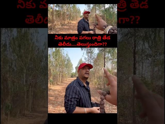 హంసీని విగ్రహం కి ఉన్న మాయ అలాంటిది...నీకు మాత్రం ఇప్పటి నుండి #hamsini #latestTelugu #thriller