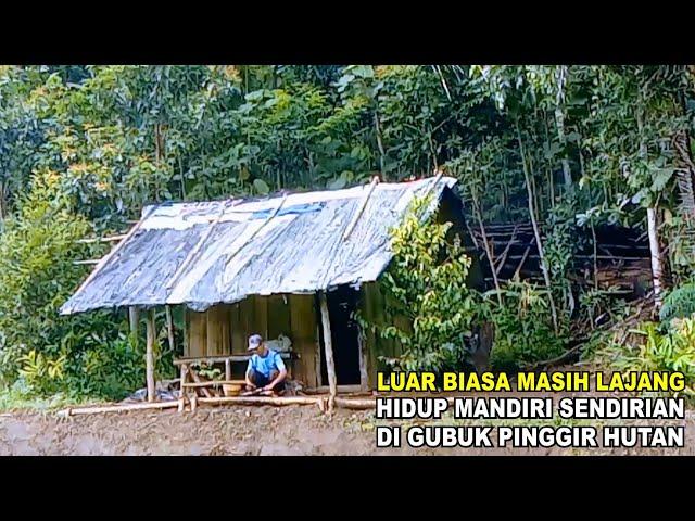 HIDUP SENDIRIAN DI GUBUK TERPENCIL PINGGIRAN HUTAN LERENG GUNUNG