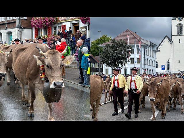 [Swiss Vlog] Experience the REAL Switzerland at Alpabzug Festival in Urnäsch