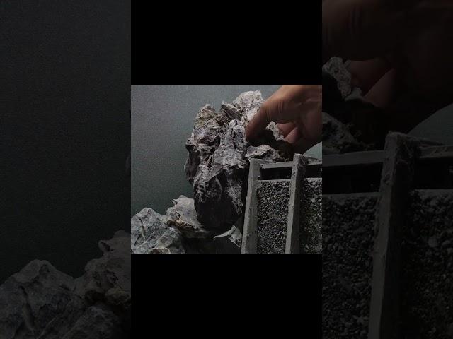 Building Ancient Dam paludarium in Aquarium  #bonsai #bonsaiprojects #shorts