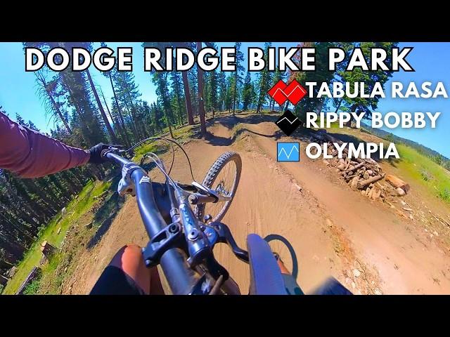 NEW(ish) Mountain Bike Park in California | TABULA RASA | RIPPY BOBBY | OLYMPIA| Dodge Ridge