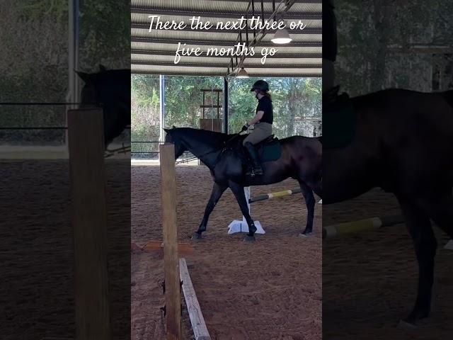 Me and fergie’s 40 seconds story ️️️️️️️️️️️️️️️️️️️️ #fergalicious #equestrian