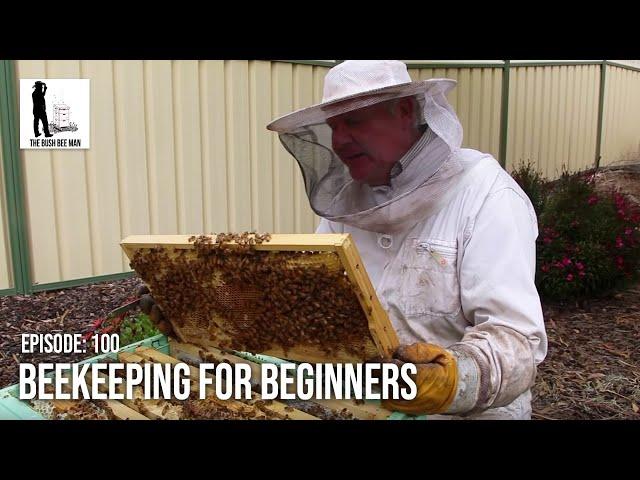 How To Become A Beekeeper - The Bush Bee Man