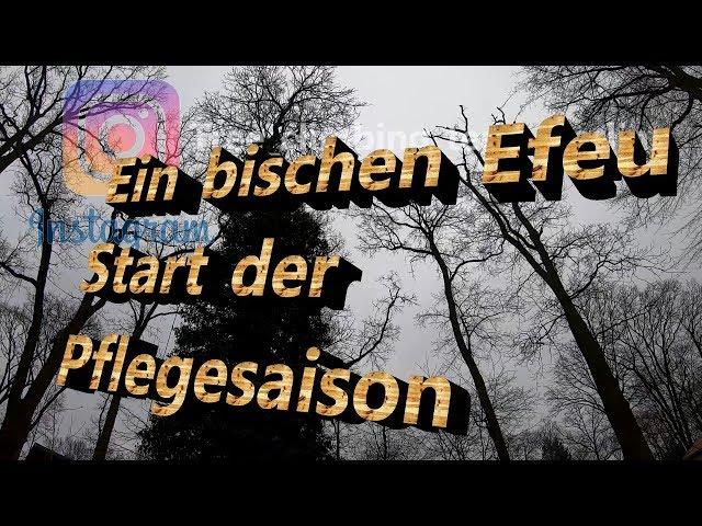 Start der Pflegesaison - LOV2 -SKT - DRT - SRT