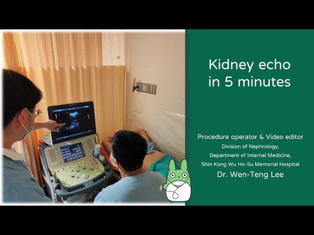 Kidney echo in 5 minutes [4K60p]