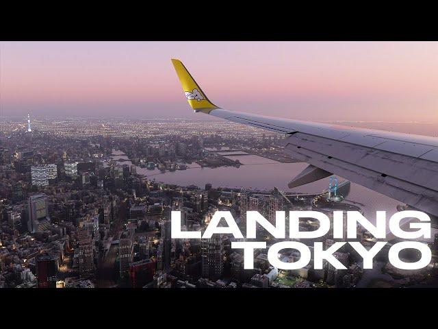 Ultra-realistic Tokyo Landing | Flight Simulator 2020