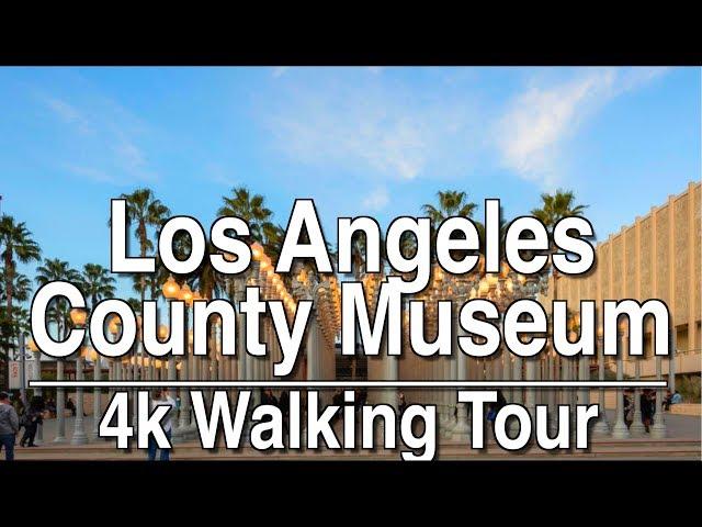 Walking Tour LACMA and La Brea Tar Pits | 4K Dji Osmo Mobile 2 | Ambient Music