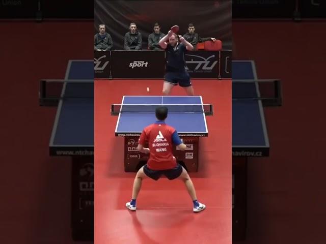 Absolutely INSANE Table Tennis Defense from Yang Wang ! #tabletennis #defence #proplayer