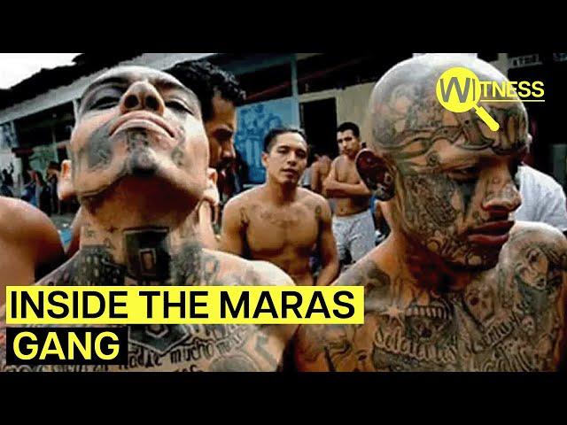 El Salvador Mega Prisons For Deadly Maras Gang Members | Witness | Gang Violence Documentary