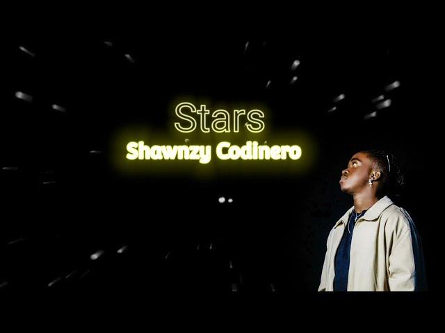 Shawnzy Zm - Stars ( Lyric Video )