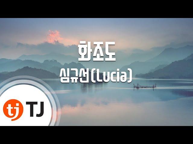 [TJ노래방] 화조도 - 심규선(Lucia) / TJ Karaoke