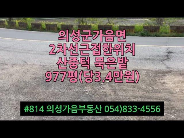 #814 의성가음부동산 2차선 250m거리 산중턱 확트인전망 묵은밭 977평 3300만 (당3.4만원) 전기가능 자연인 묘터가능 #의성군땅#귀농귀촌#주말농장#싼땅#임야#자연인#묘터