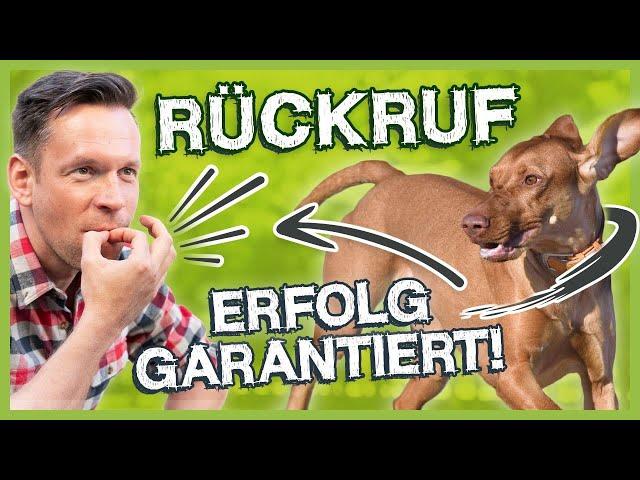 Zuverlässiger RÜCKRUF: Häufiger Fehler und wie du ihn richtig trainierst!