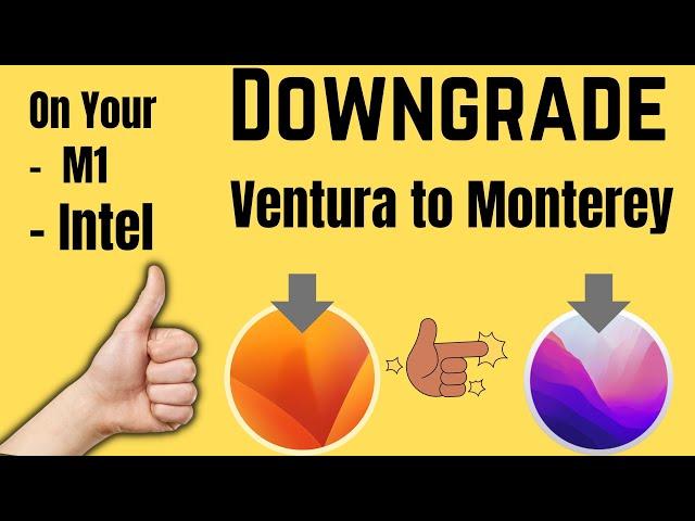 How to Downgrade macOS 13 Ventura to MacOS Monterey in 2024 for M1 & Intel Mac