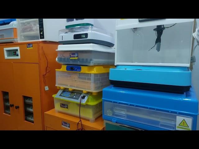 Best Incubator || Sherwani Expres Incubator Multan || Incubator homemade