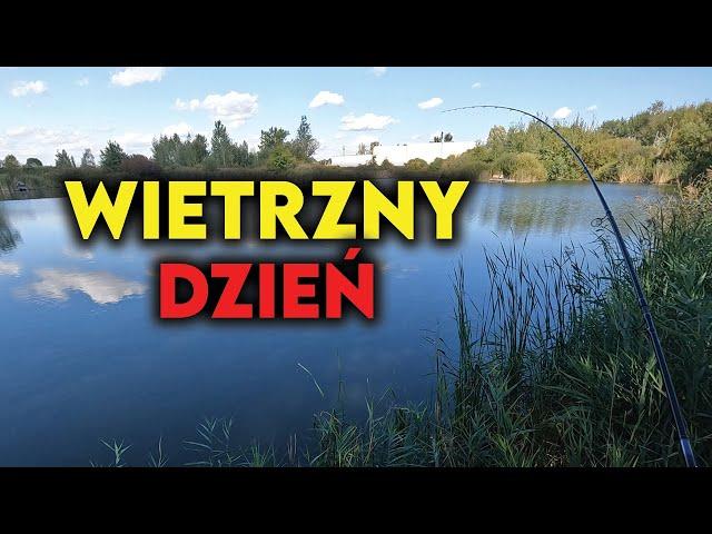 Wietrzny DZIEŃ na METHOD FEEDER! 