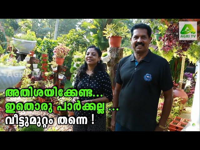 അതിശയിക്കേണ്ട .. ഇതൊരു പാർക്കല്ല ... വീട്ടുമുറ്റം തന്നെ !!! | Kerala Home Garden