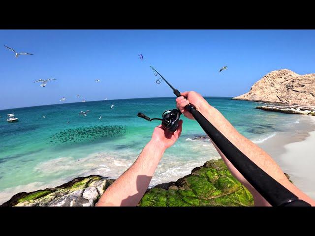 Non-Stop Action at a Secret Fishing Island!