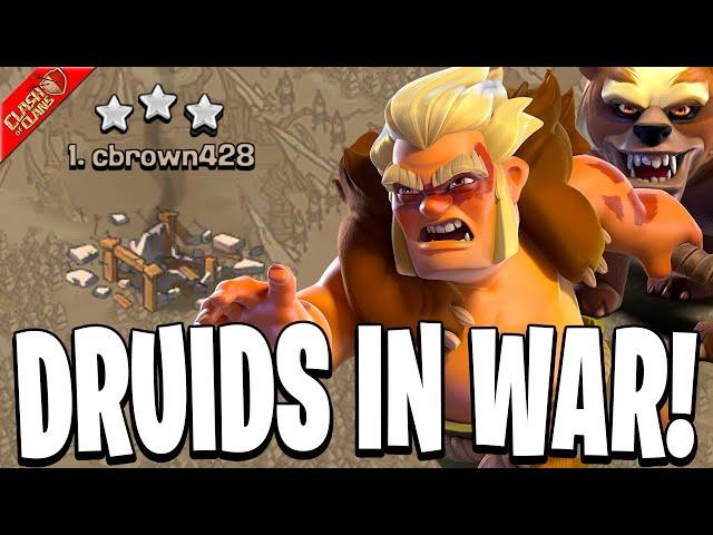 Maxing the New Druid Troop to Use in War! (Clash of Clans)