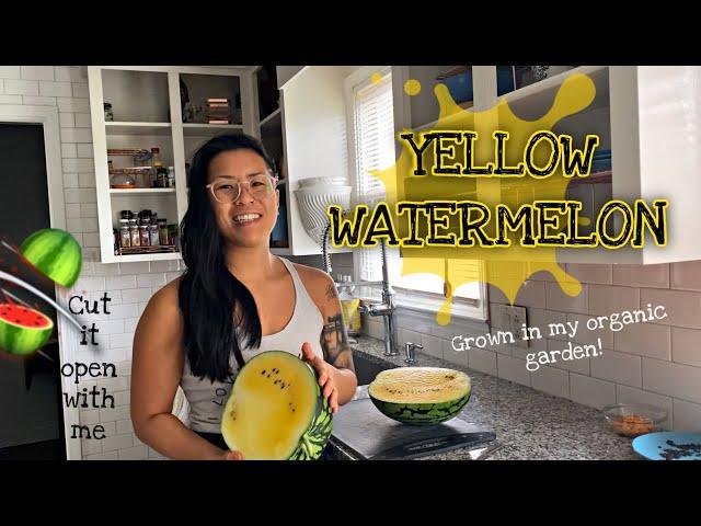 YELLOW WATERMELON! Homegrown Organic NC Backyard Garden Zone 7b