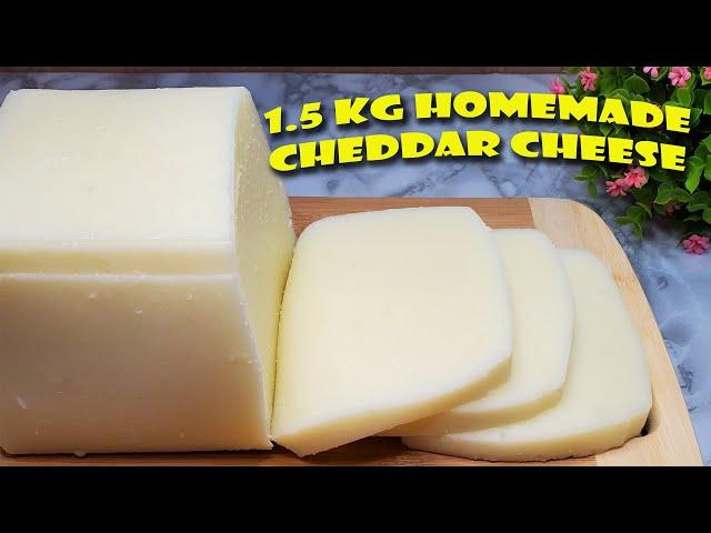 1.5 KG OF HOMEMADE CHEDDAR CHEESE FROM 1 LITER OF MILK Is that possible? Few people know this recipe