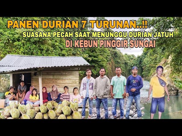 PANEN DURIAN 7 TURUNAN.. !! SUASANA PECAH SAAT MENUNGGU DURIAN JATUH DI KEBUN PINGGIR SUNGAI