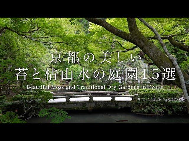 京都の美しい苔と枯山水の庭園 15選：Beautiful Moss and Traditional Dry gardens in Kyoto